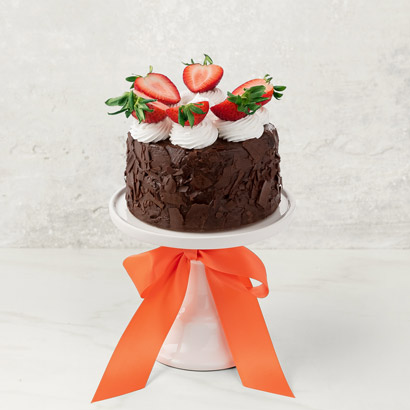 Chocolate Edible Cake with Strawberries