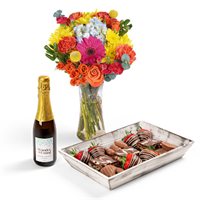 NonAlcoholic Wine Bundle
