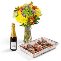 NonAlcoholic Wine Bundle
