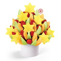 Star of David Celebration- Passover and Hannukkah Gifts