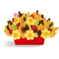 Fruit Festival Dipped Strawberries