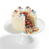 Full of Fun Vanilla Cake