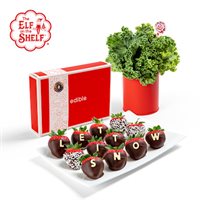 The One The Only The Elf on the Shelf Elftacular Arrangement