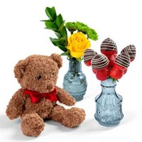 Teddy Tasty Treats Bundle
